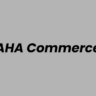 Lowongan Kerja Freelance Livestream Host di AHA Commerce - Jakarta Barat