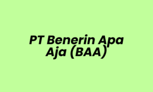 Lowongan Kerja Admin Cashier di PT Benerin Apa Aja (BAA) - Jakarta Pusat