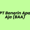 Lowongan Kerja Admin Cashier di PT Benerin Apa Aja (BAA) - Jakarta Pusat