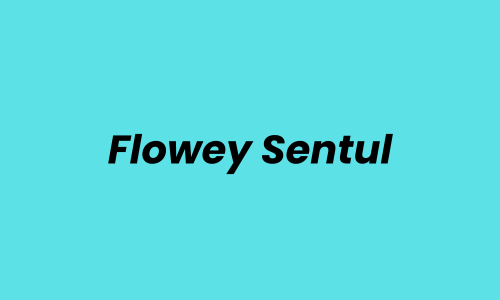 Lowongan Kerja Marketing Manager di Flowey Sentul - Jakarta Selatan