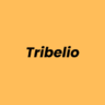 Lowongan Kerja Front-end Developer (BrainBoost) di Tribelio - Jakarta Selatan